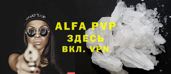 прущие грибы Балабаново