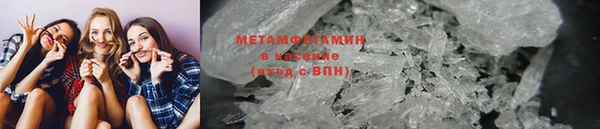 прущие грибы Балабаново