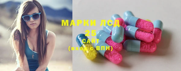 прущие грибы Балабаново