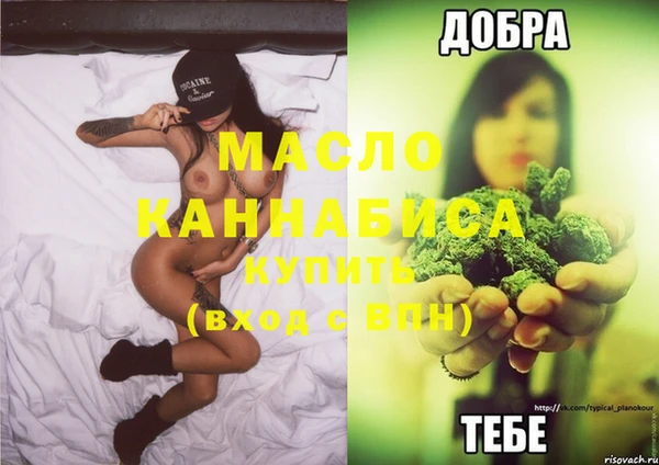 прущие грибы Балабаново