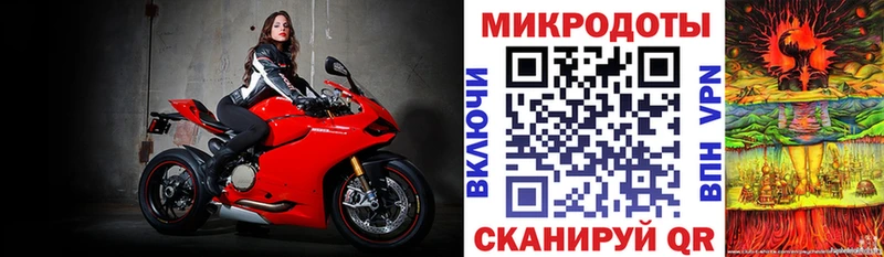 Псилоцибиновые грибы прущие грибы Нижняя Тура